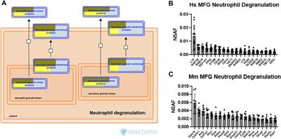 Comparative proteomic analysis of human milk fat globules and paired membranes and mouse milk fat globules identifies core cellular systems contributing to mammary lipid trafficking and secretion